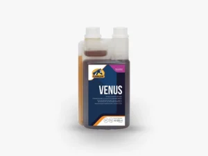 Venus