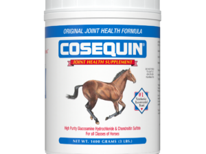 Cosequin Original Powder