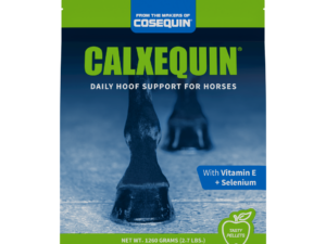 Calxequin
